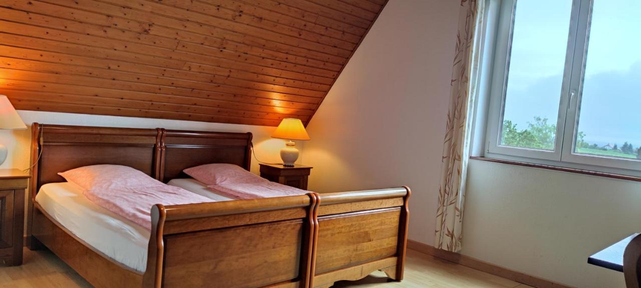 Chambre D'Hotes De La Tulipe 미텔베르하임 외부 사진